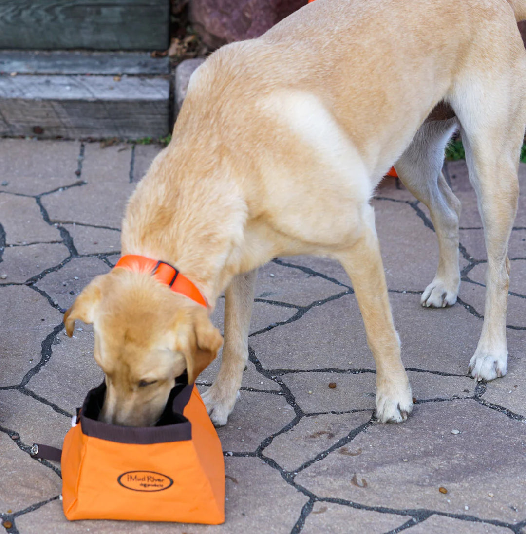 Mud River Renegade Dog Bowl – Portable Leak-Proof Travel Dog Bowl with Nylon Exterior (12 Cups / 102 oz Capacity)