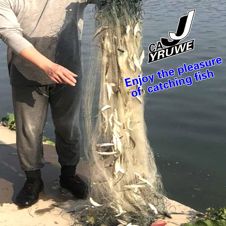 419433681